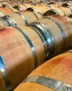 Welcome Tasting in Langhe Fortemasso.jpg wine cellar.webp