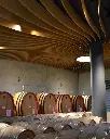 Fortemasso with Riserva visit and tasting.webp