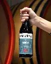 Fortemasso winery Barolo experience .webp