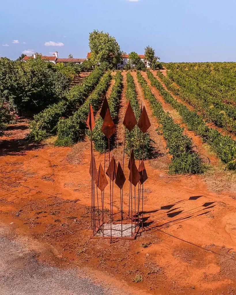 Herdade Grande, vineyard visit.webp