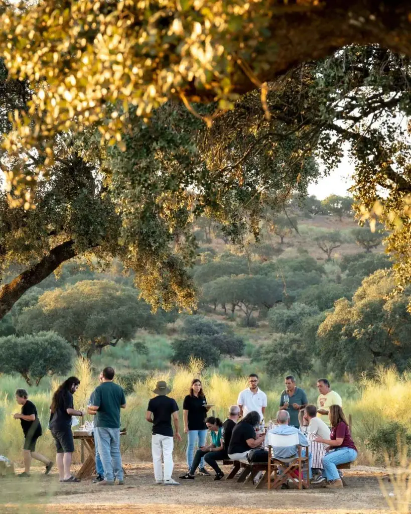 Herdade Grande, outdoor tasting.webp