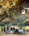 Herdade Grande, outdoor tasting.webp
