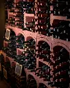 Herdade Grande, winery visit.webp