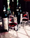 Nebbiolando experience.webp
