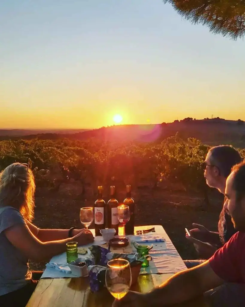Gerações Da Talha, picnic in the vineyard.webp
