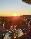 Gerações Da Talha, picnic in the vineyard.webp