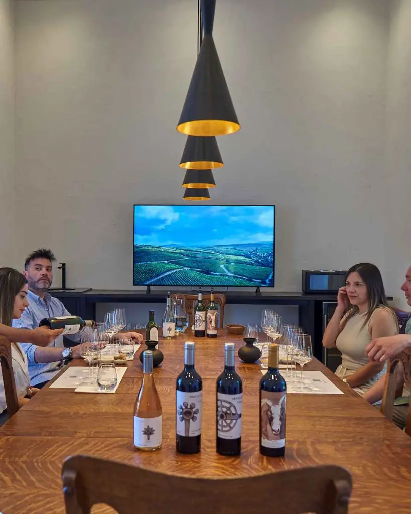 Maquis Wines, tasting of iconic wines.webp