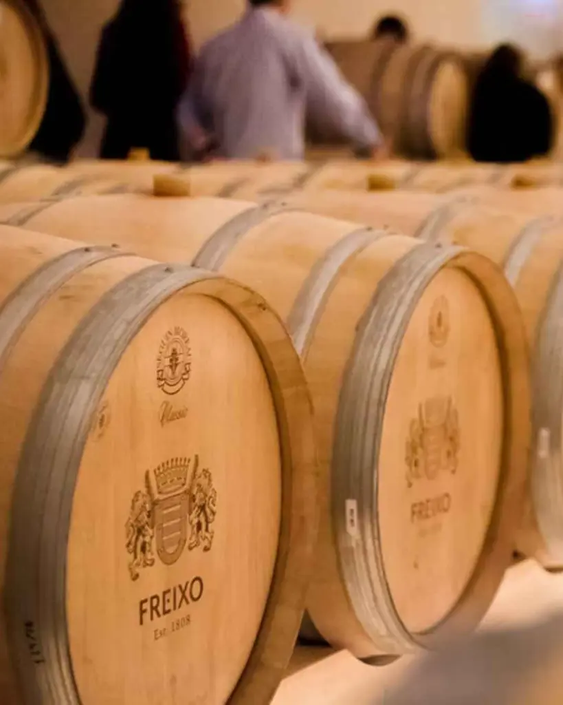 Herdade Do Freixo, cellar visit.webp