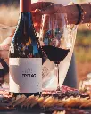 Herdade Do Freixo, red wine tasting.webp