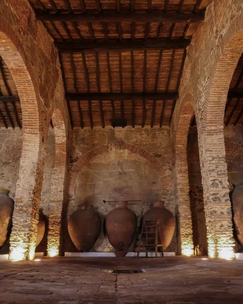Honrado vineyards, Wine-Museum Cella Vinaria Antiqua.webp