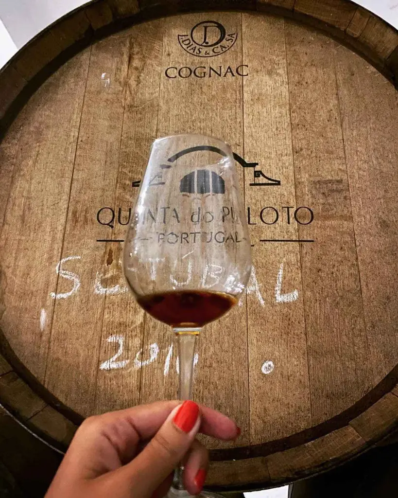 Quinta do Piloto, wine tasting.webp