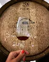 Quinta do Piloto, wine tasting.webp