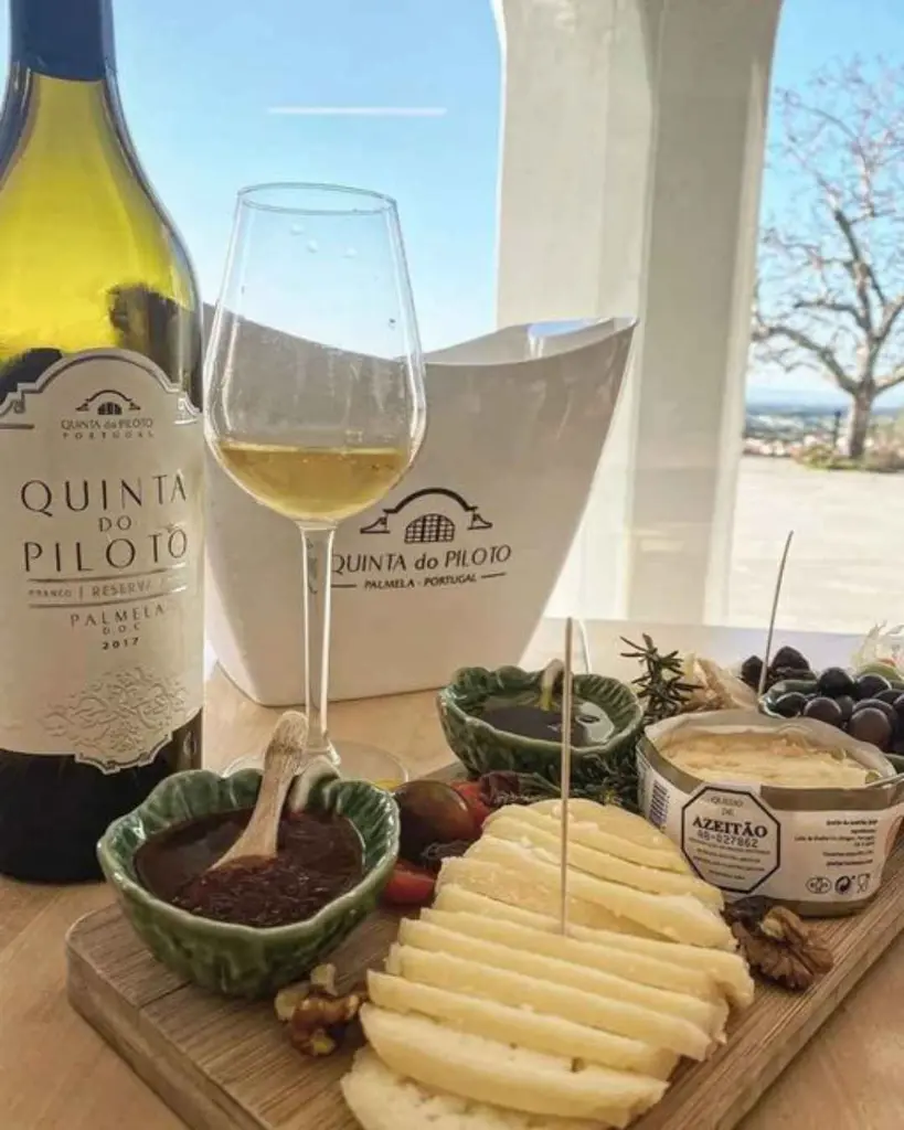 Quinta do Piloto, wine tasting with local snacks.webp