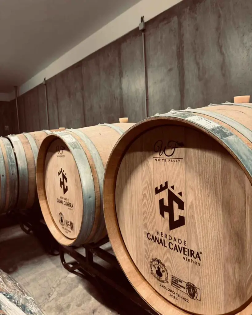 Herdade Canal Caveira, cellar visit.webp