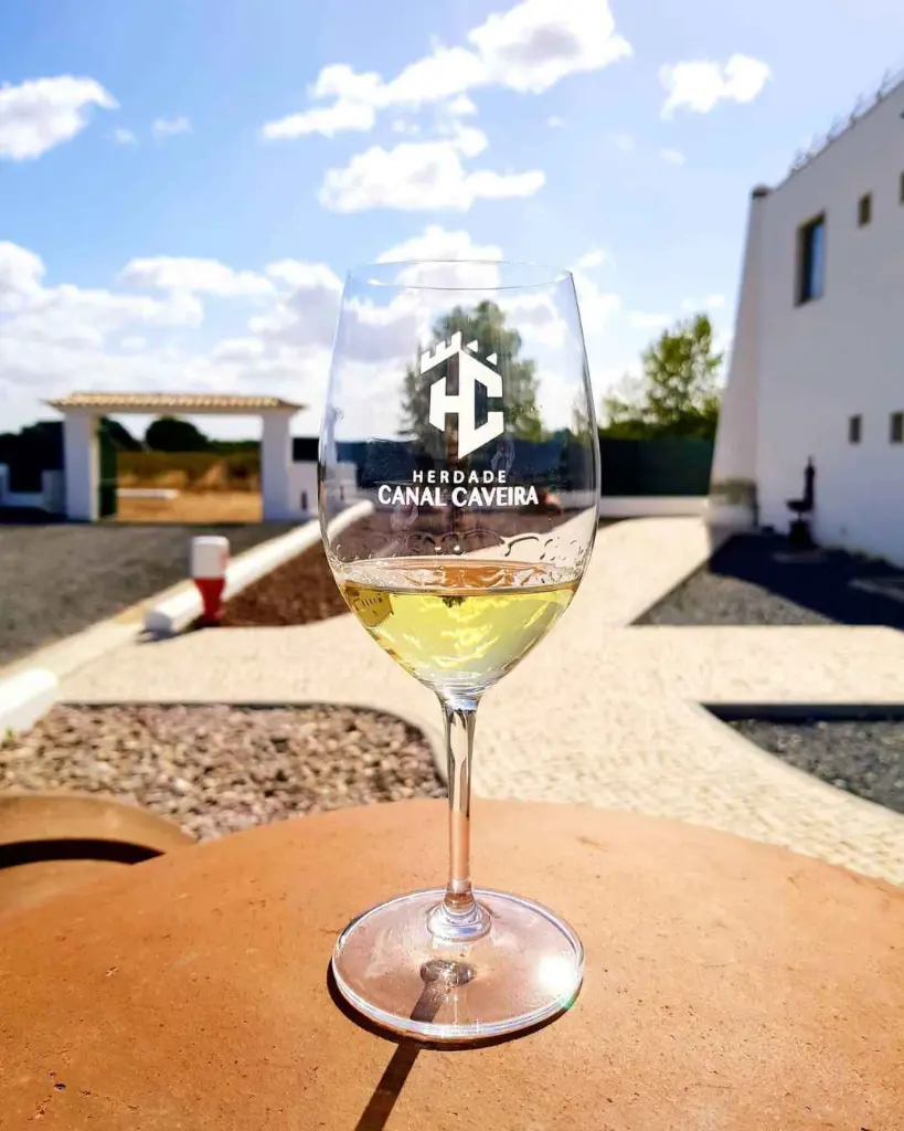 Herdade Canal Caveira, tasting experience.webp