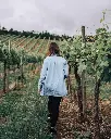 Quinta de Lourosa, vineyard visit.webp