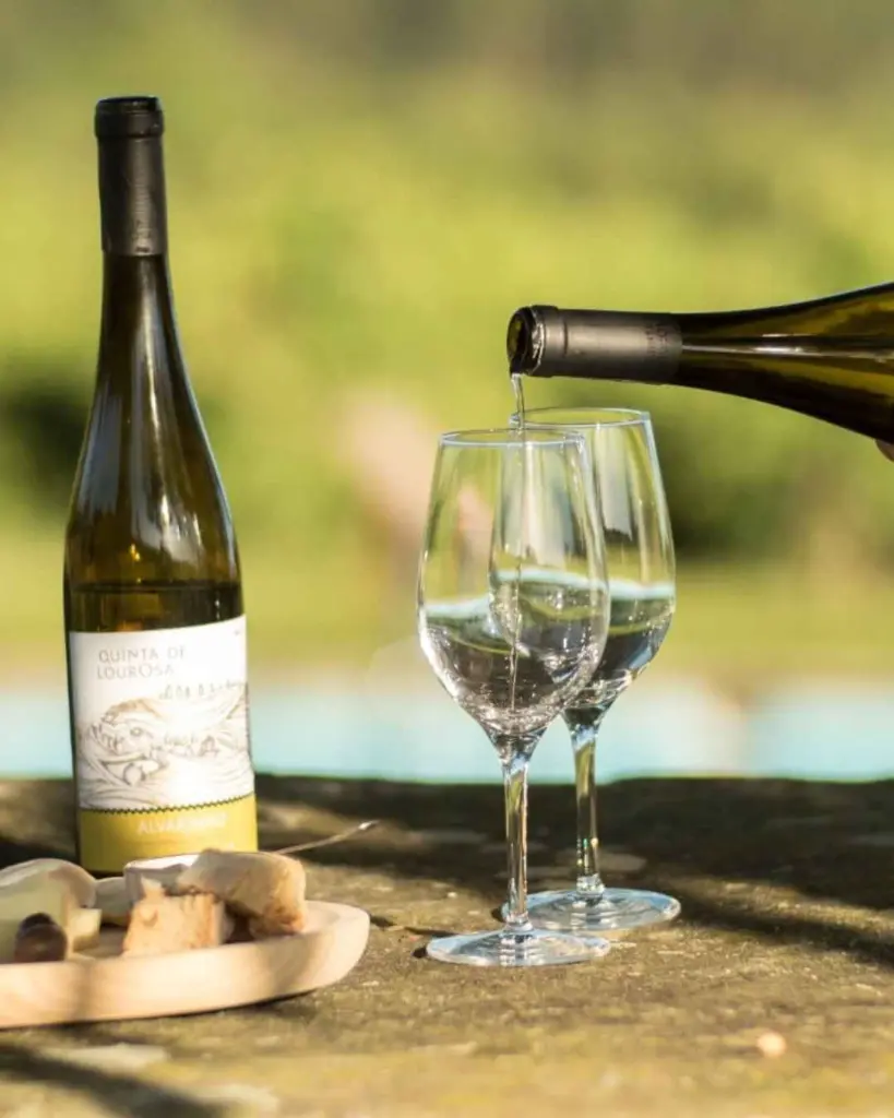 Quinta de Lourosa, wine tasting.webp