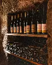 Quinta de Lourosa, wine cellar.webp