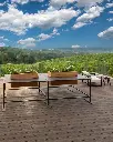 Dosio Vigneti Piedmont Premium.webp