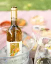 Casa Lata, picnic.webp