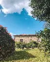 Casa Lata, nature.webp