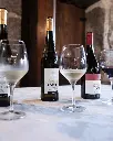 Casa Da Tojeira, three wines tasting.webp
