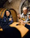 Vina Petrič, tasting in cellar.webp