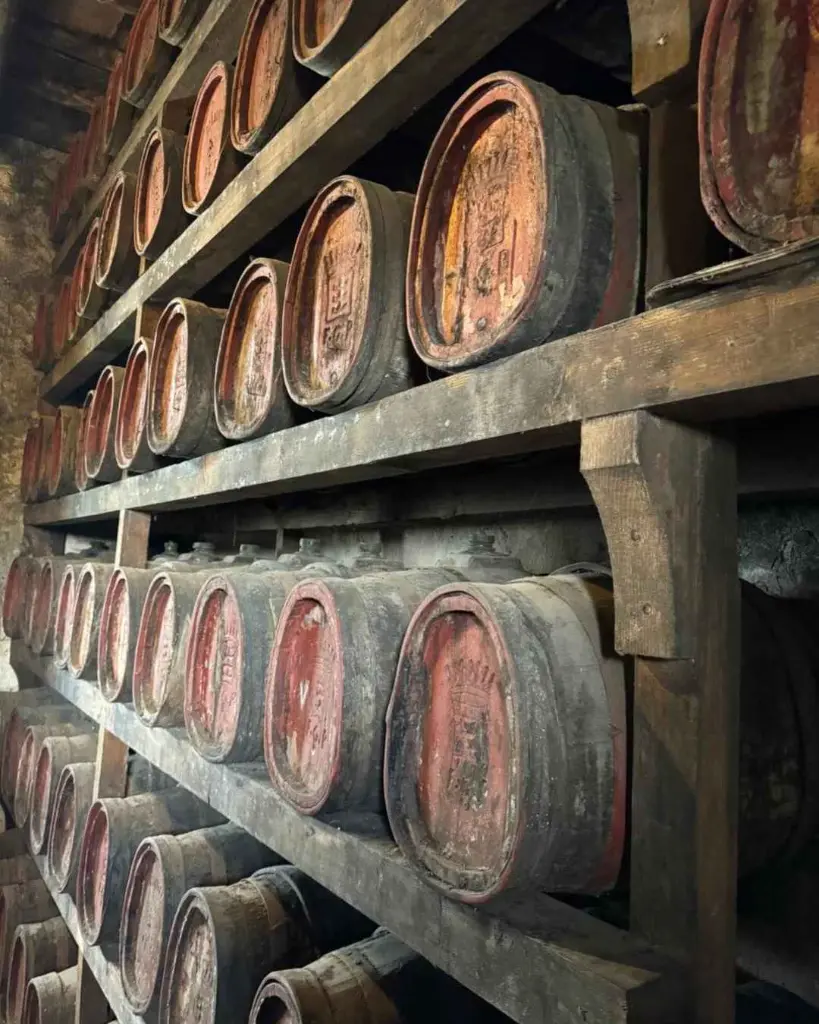 Tower Tour Poppiano Castle tasting Florence.webp