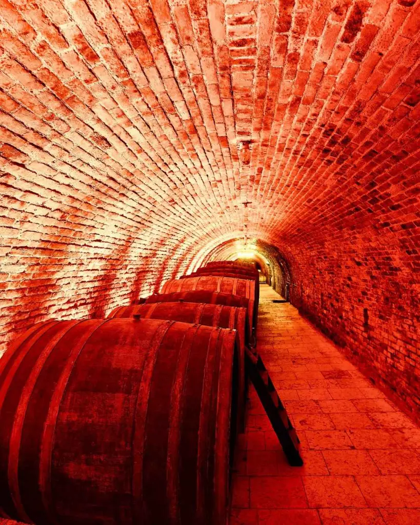 Weingut Neustifter, cellar.webp