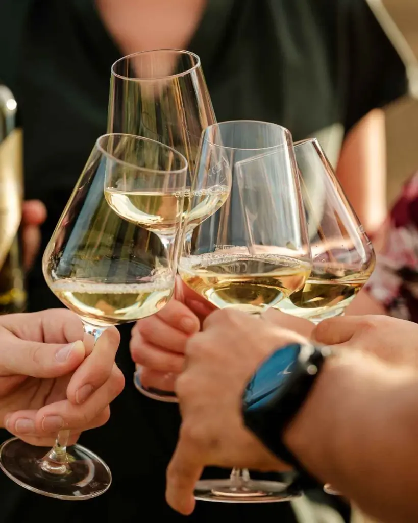 Weingut Neustifter, wine tasting.webp