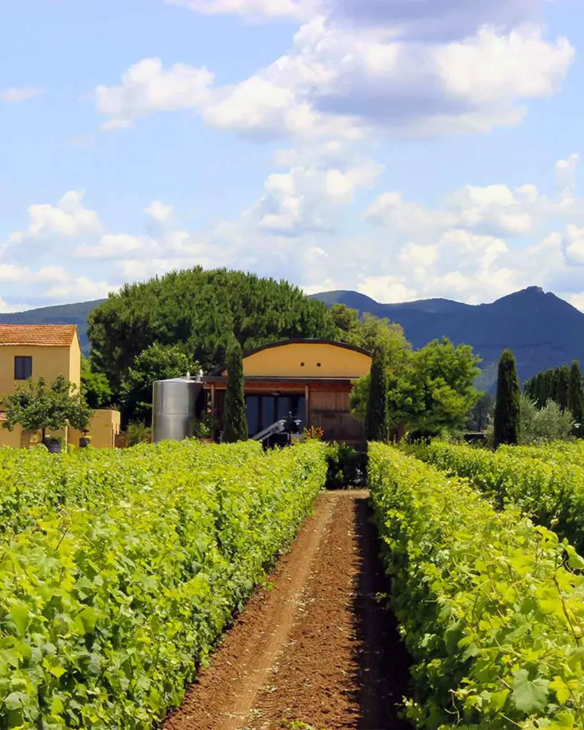 Terre Del Marchesato, Italy.webp