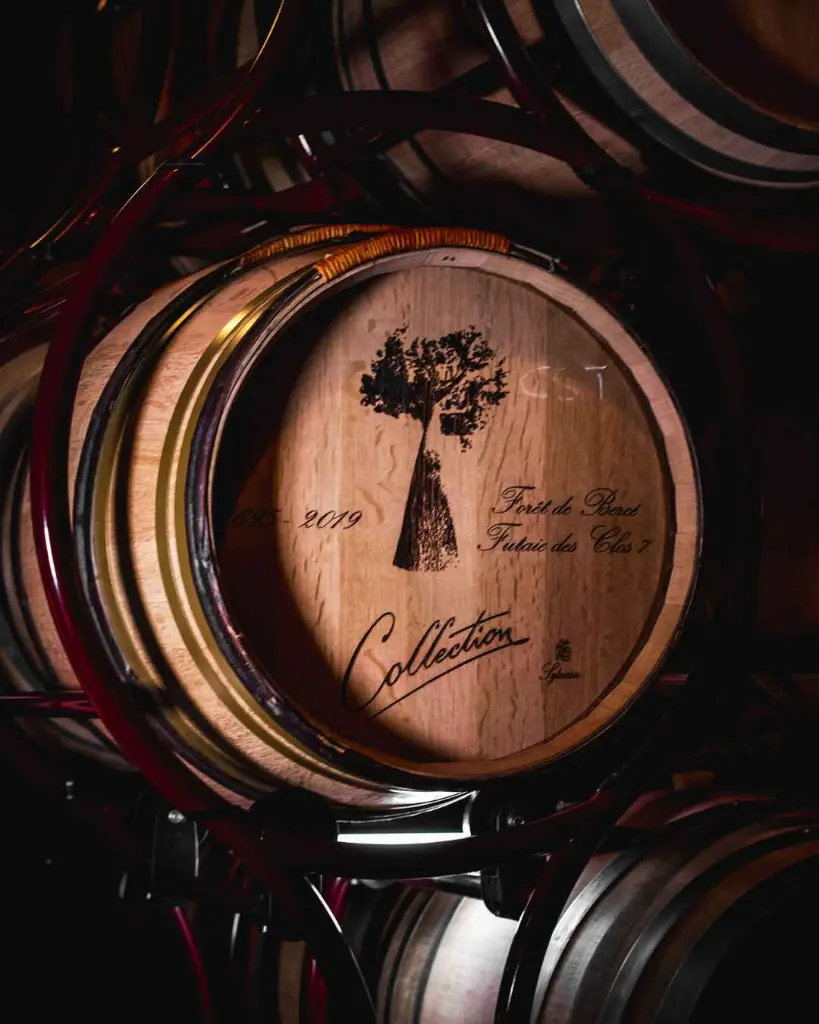 Terre Del Marchesato, barrel cellar.webp