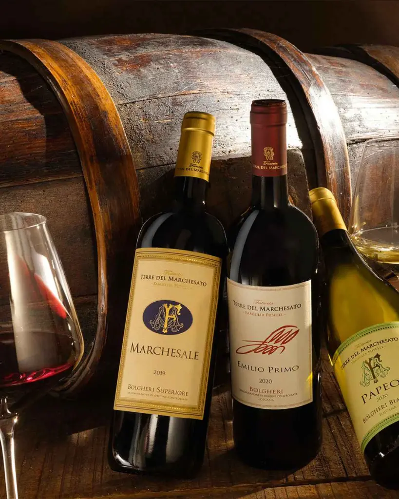 Terre Del Marchesato, three wines tasting.webp