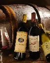 Terre Del Marchesato, three wines tasting.webp
