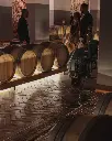Tenute Girolamo, cellar visit.webp