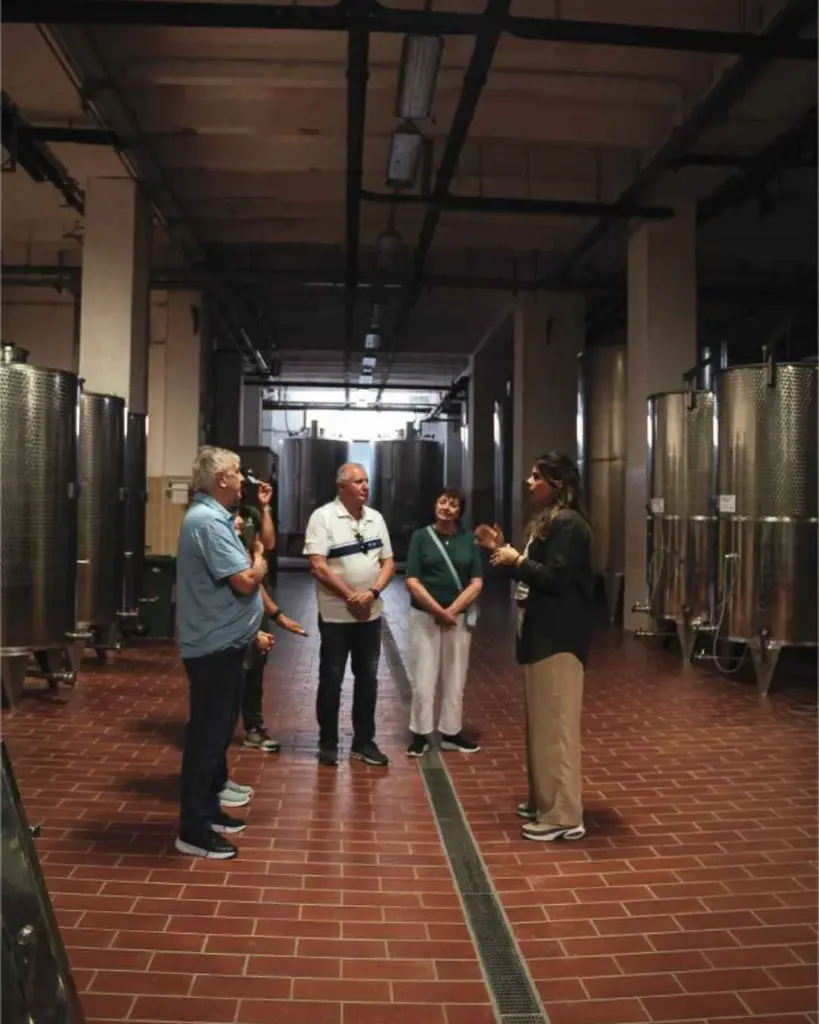 Tenute Girolamo, guided visit.webp