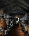 The sassotondo wine cellar.webp