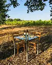 The sassotondo tour Tuscany.webp