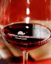 Castello Monterinaldi full lunch and tasting.webp