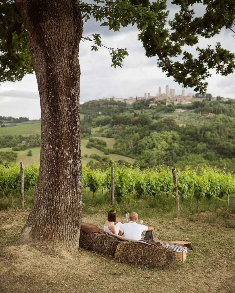 Picnic pietraserena winery San Gimignano.webp