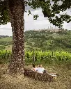 Picnic pietraserena winery San Gimignano.webp