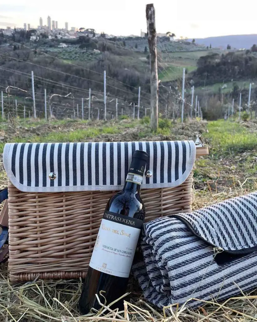 Picnic Chic Nic.webp