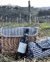 Picnic Chic Nic.webp
