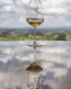 pietraserena blind tasting San Gimignano.webp