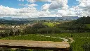 FIAT 500 Tuscany tour.webp
