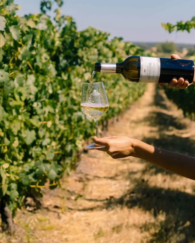 Casa Relvas, white wine tasting.webp