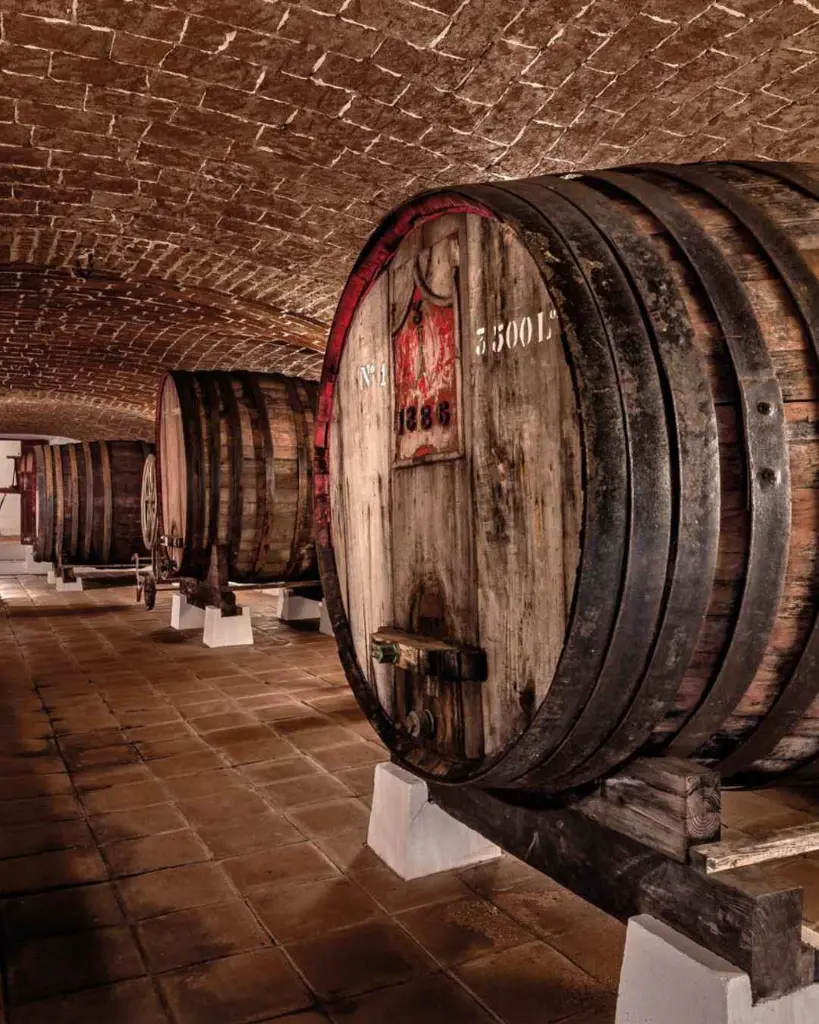 adega-josé-de-sousa-barrel-cellar-alentejo-portugal.webp