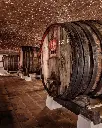 Adega José de Sousa - Barrel cellar.webp