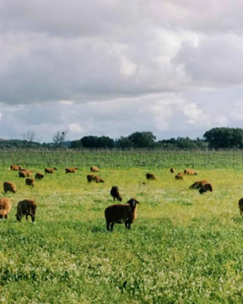 Casa Relvas, biodiversity route.webp