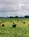 Casa Relvas, biodiversity route.webp